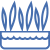 Plant Growth Icon